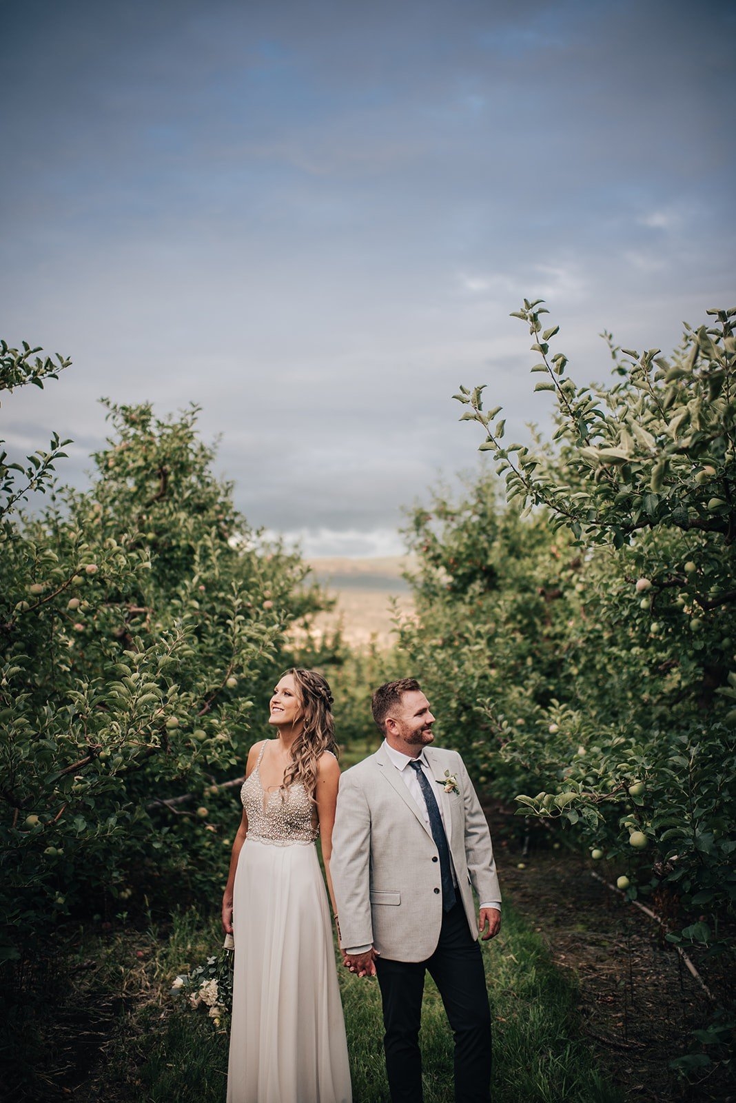 carousel-hero-element image-1