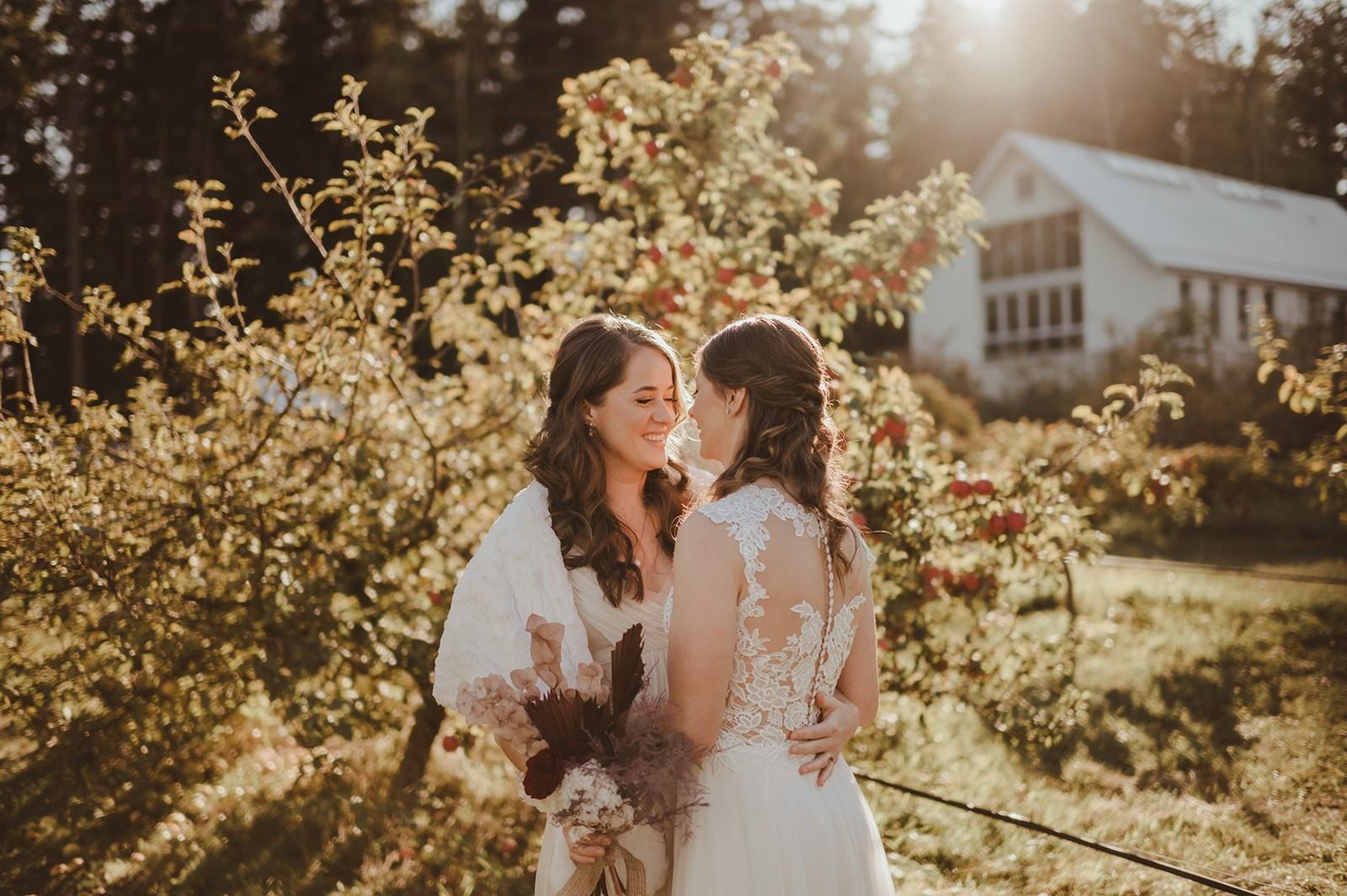 carousel-hero-element image-3